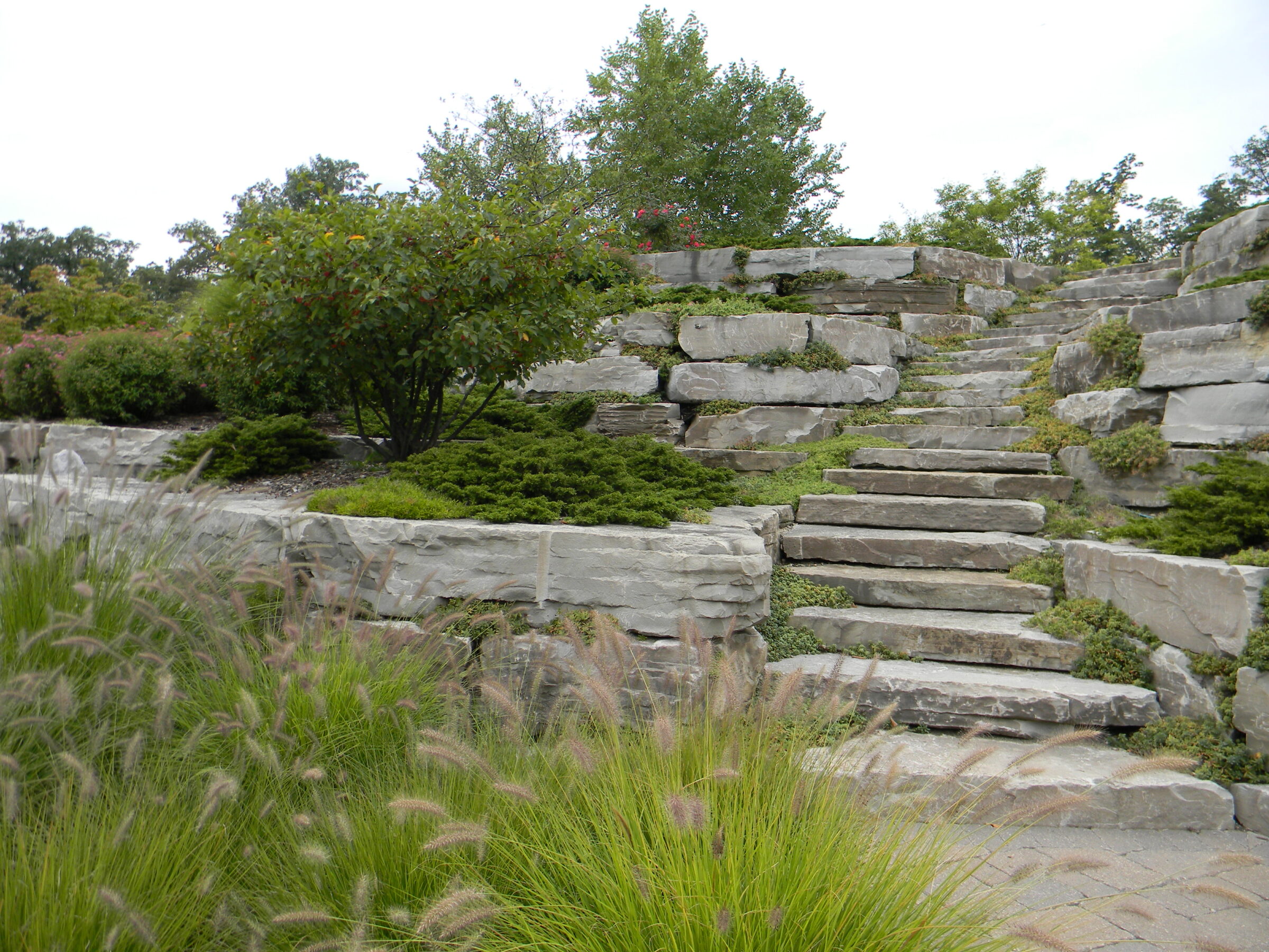 Stone steps leading through a lush garden with greenery, ornamental grass, and layered rock formations under a clear sky.