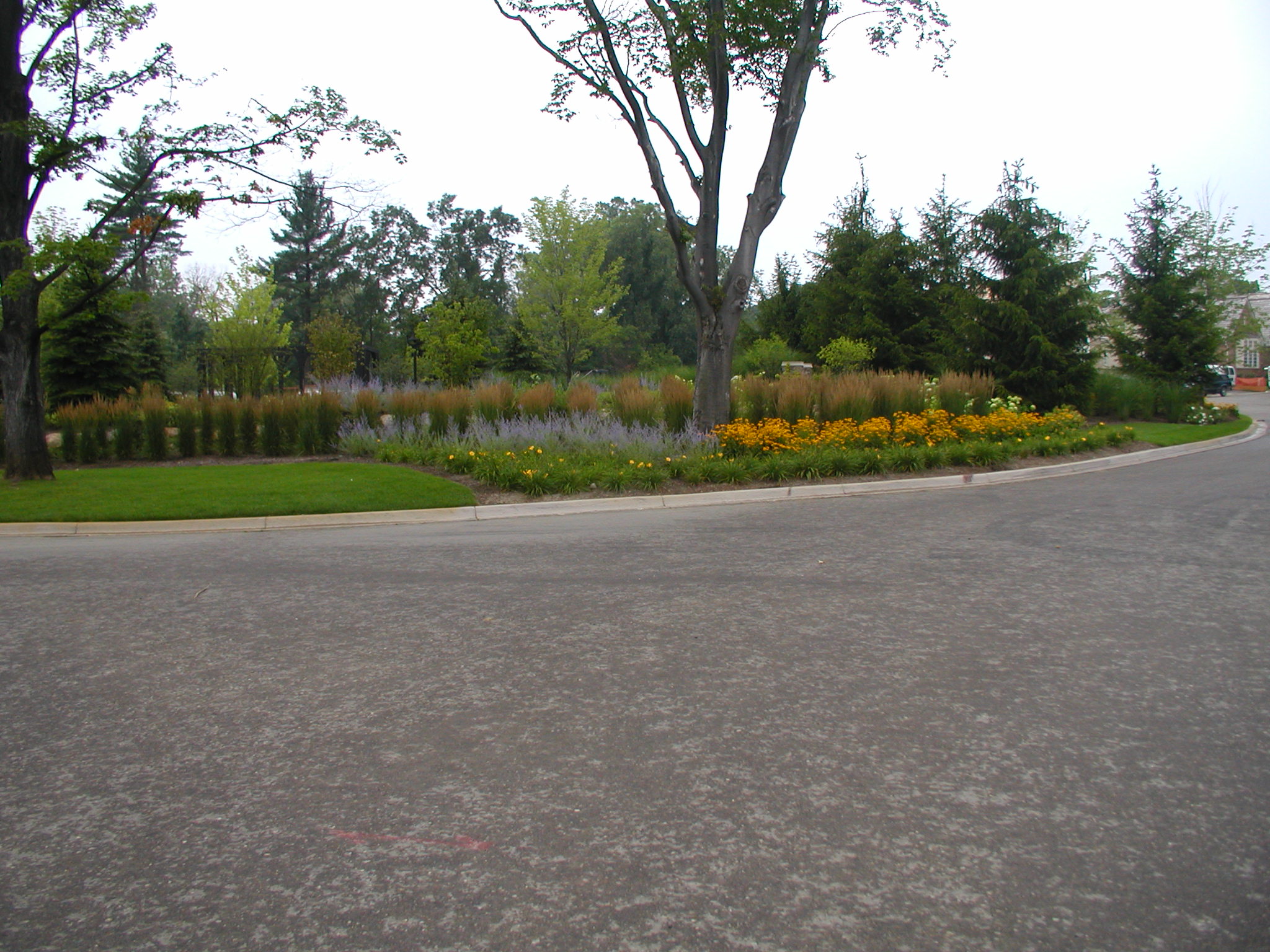 A curving road with lush greenery, colorful flowers, and tall trees. Overcast sky enhances the serene outdoor setting, with no visible landmarks.
