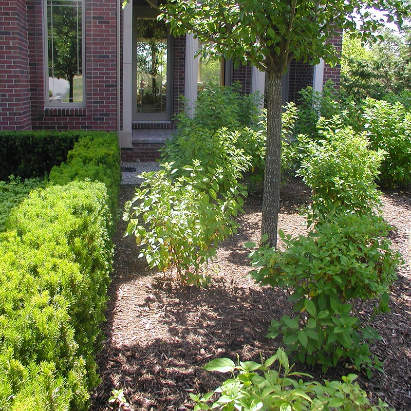 A brick building is surrounded by neatly trimmed shrubs, a small tree, and a well-maintained garden. No person is visible.