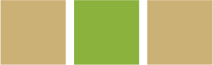 Flag with three vertical stripes: tan, green, and tan. The green stripe is centered and bordered by darker green, resembling the Central African Republic's flag.