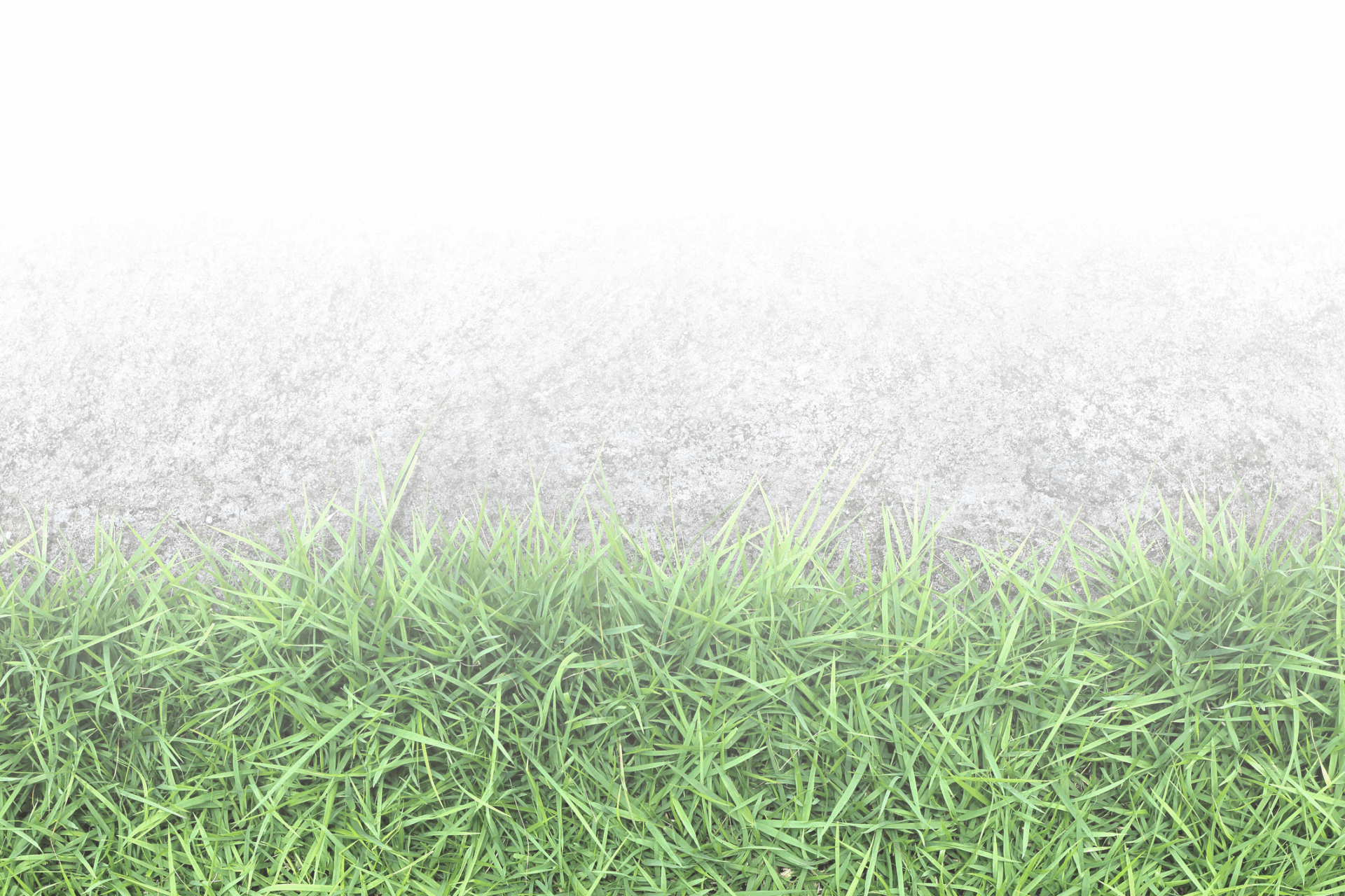 Vibrant green grass against a textured gray concrete surface, creating a striking contrast. No people, landmarks, or historical buildings visible.