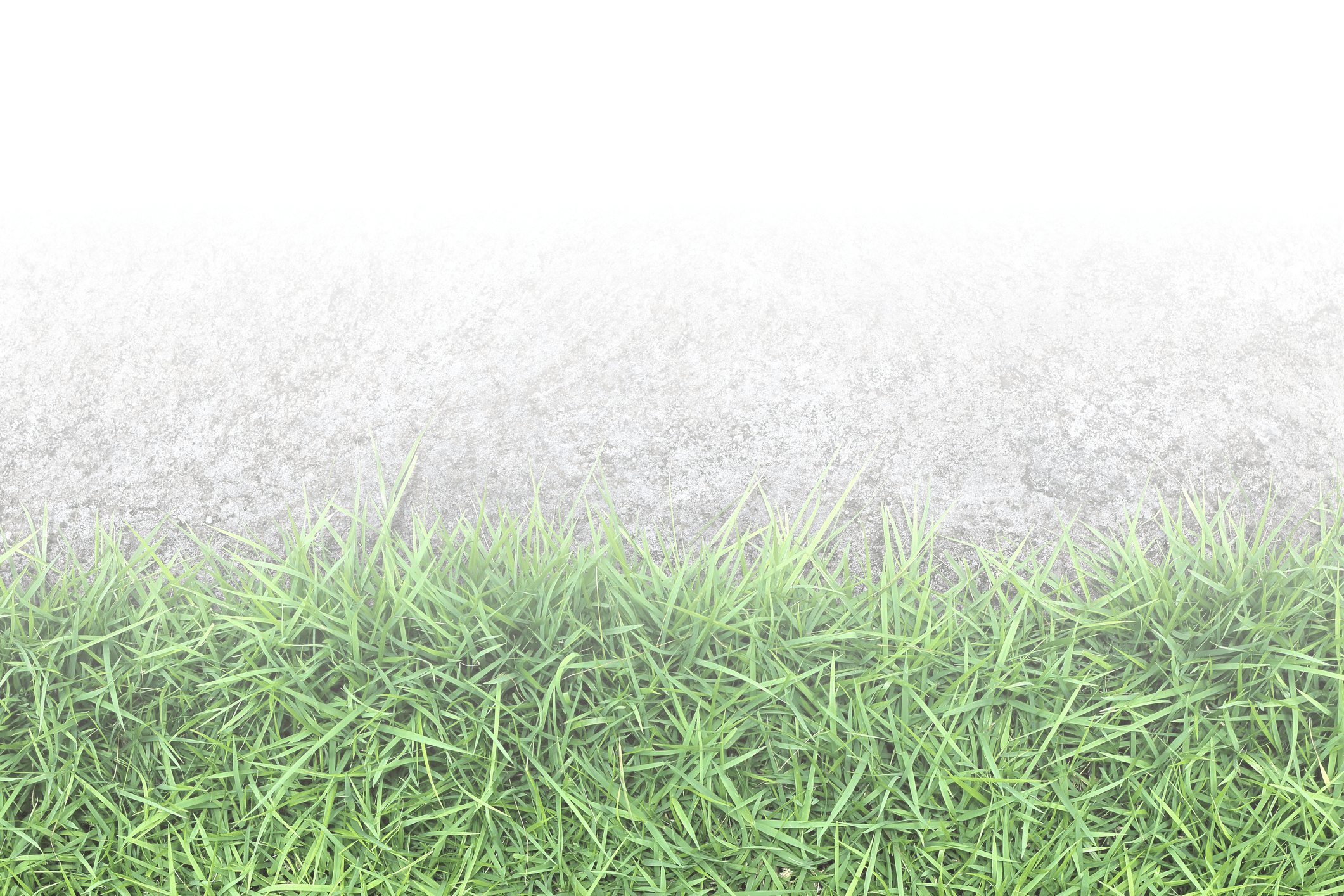 Vibrant green grass against a textured gray concrete surface, creating a striking contrast. No people, landmarks, or historical buildings visible.