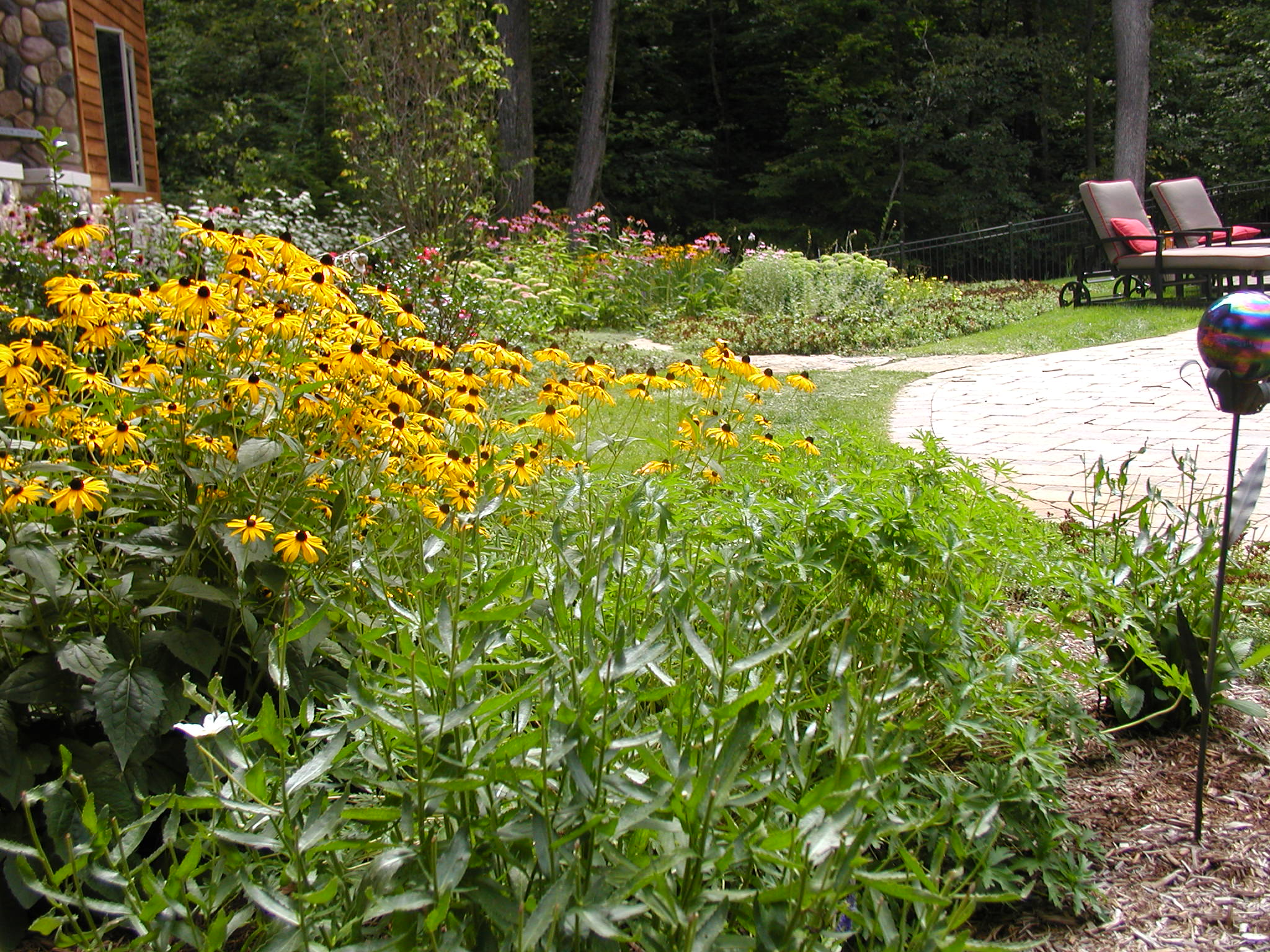 A garden with vibrant yellow flowers beside a stone-walled house, patio chairs, and a lush forest backdrop on a sunny day.