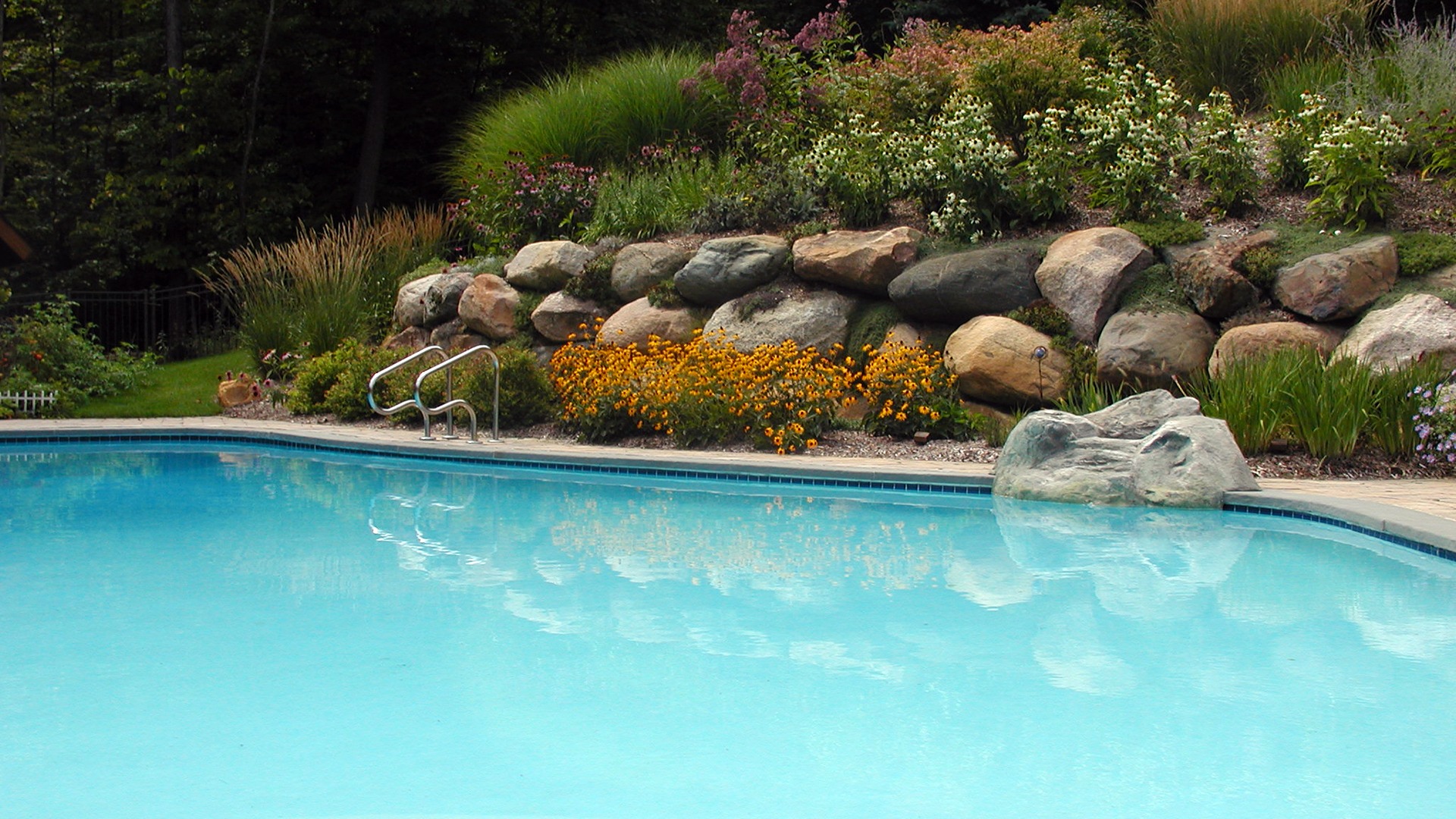 A serene backyard pool with clear blue water is surrounded by a vibrant garden and natural stone retaining wall.