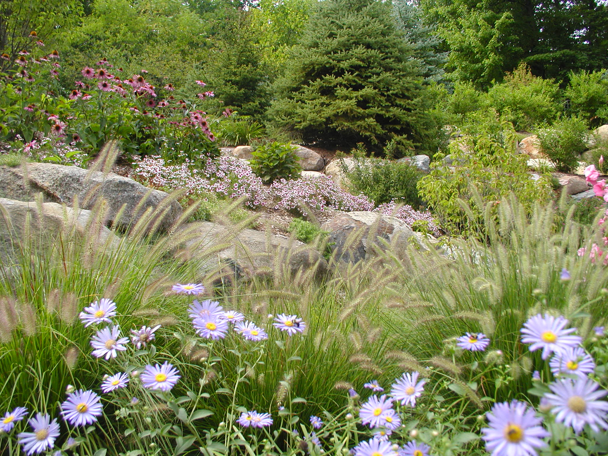 Residential landscape design using local plant life and custom stonework.