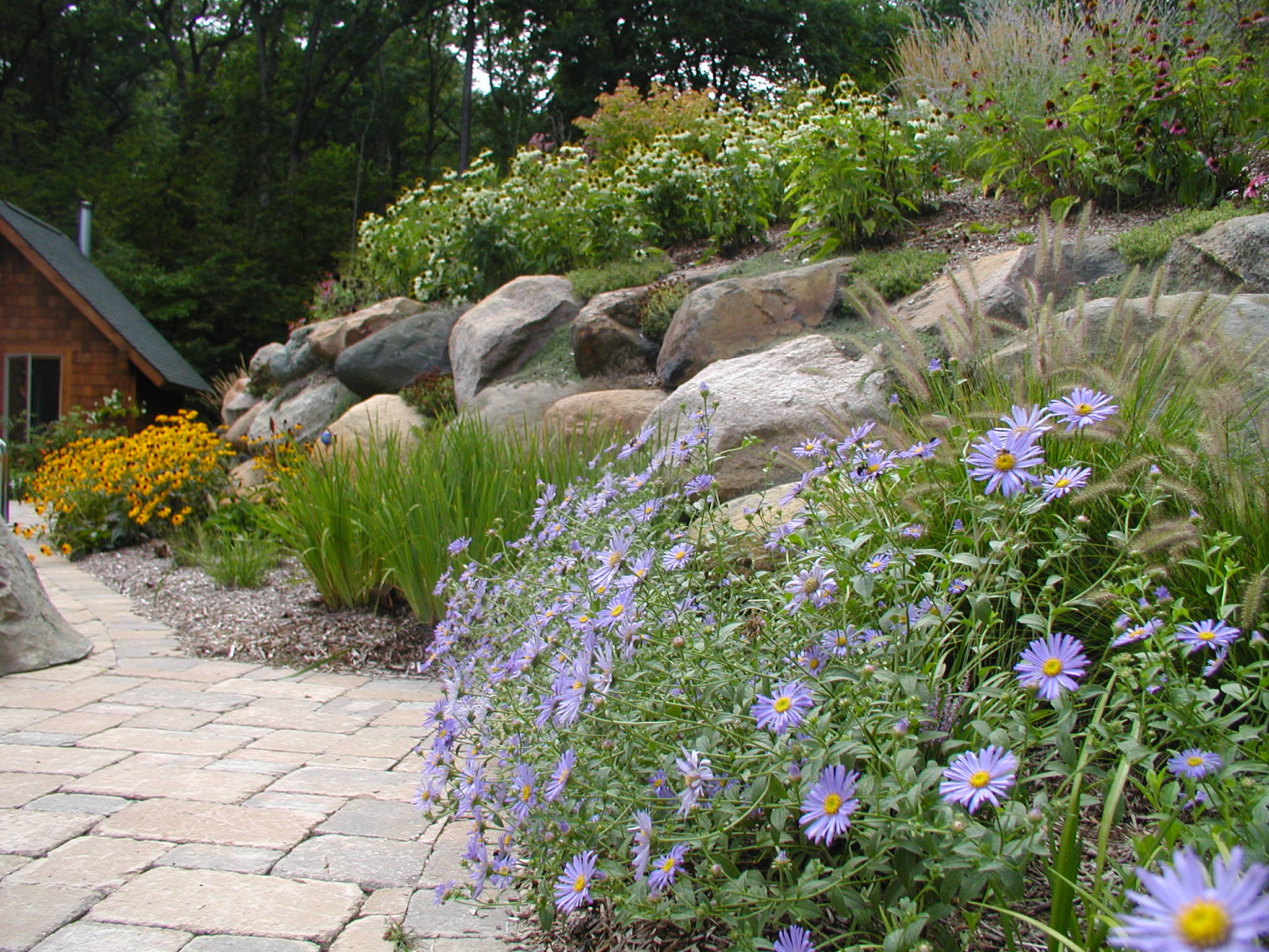 A garden with purple and yellow flowers along a stone path, bordered by rocks, beside a wooden structure and forested background.
