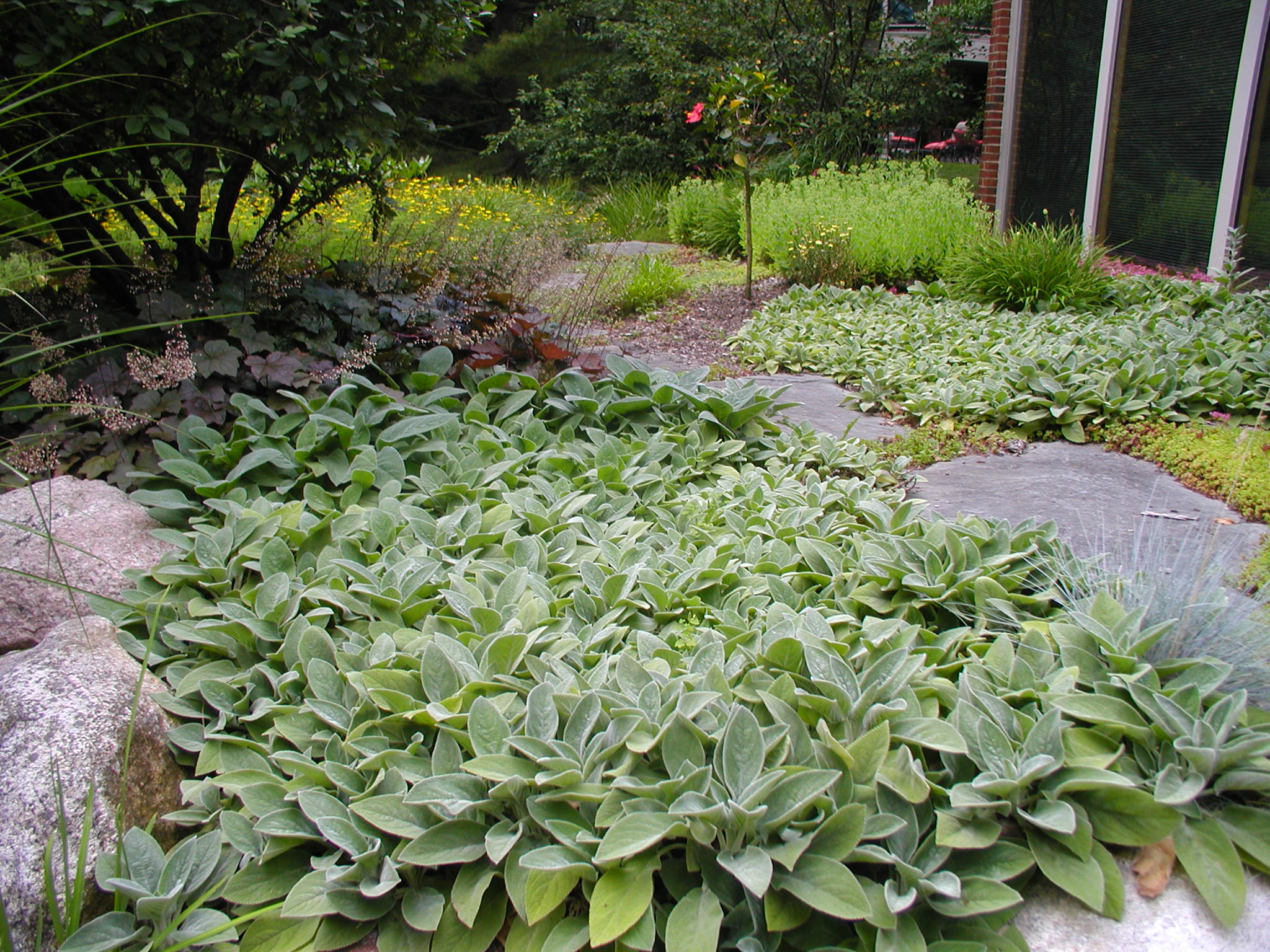 A lush garden with various plants and greenery, featuring stone pathways and a wooden structure, creating a serene and vibrant outdoor setting.