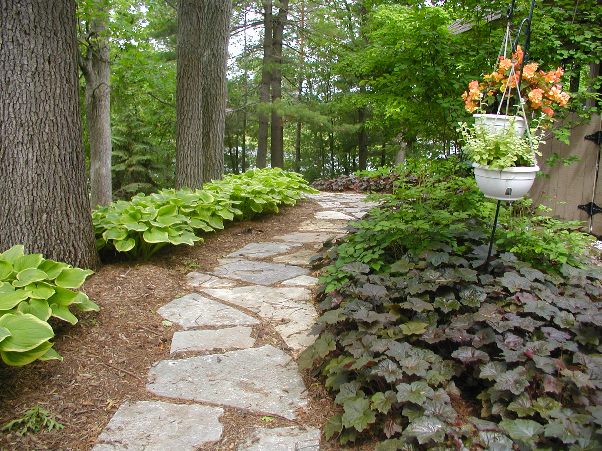 A serene garden path with stone paving, surrounded by lush greenery and trees, features a hanging planter with colorful flowers.