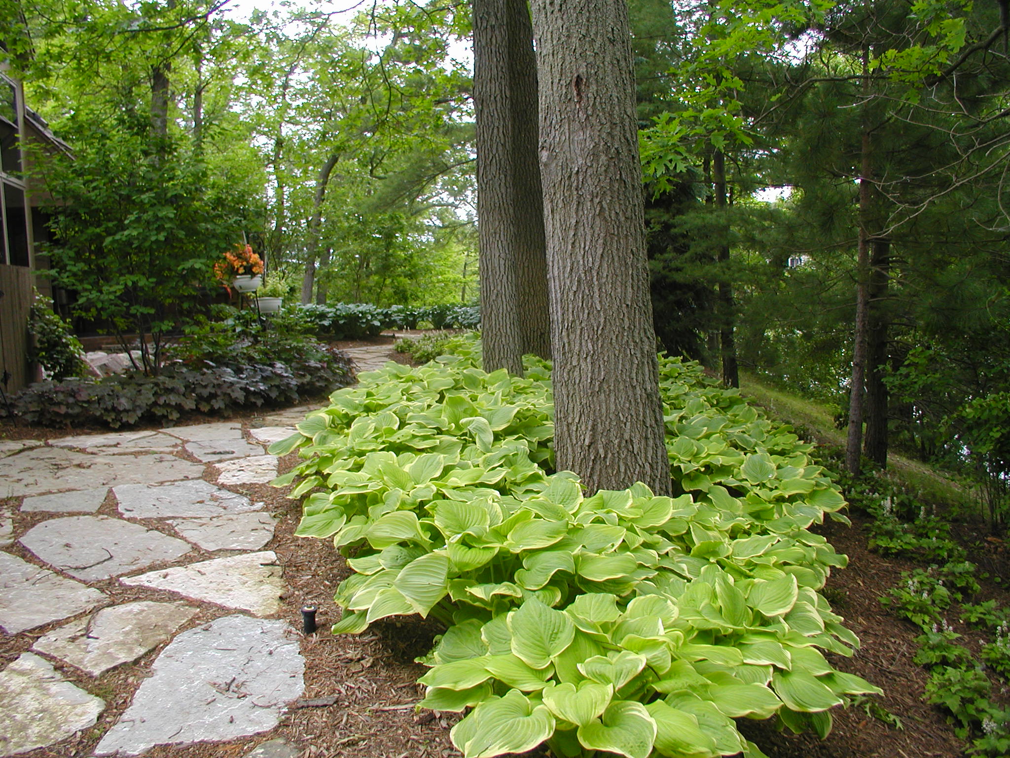 Residential landscape design using beautiful stone and vibrant groundcover.