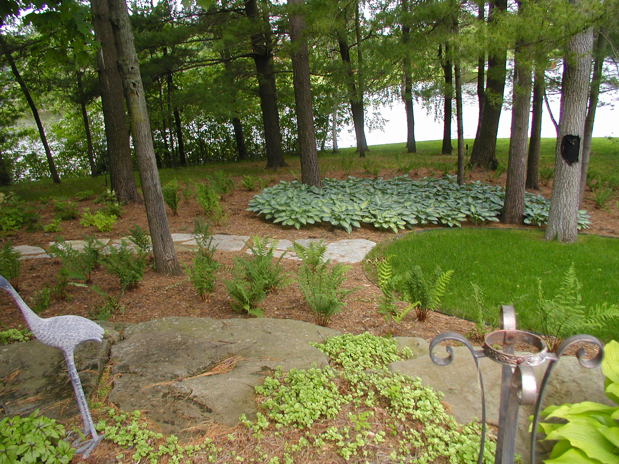 A tranquil garden scene with lush greenery, ferns, and hostas, surrounded by tall trees, with a decorative metal crane and stone pathway.