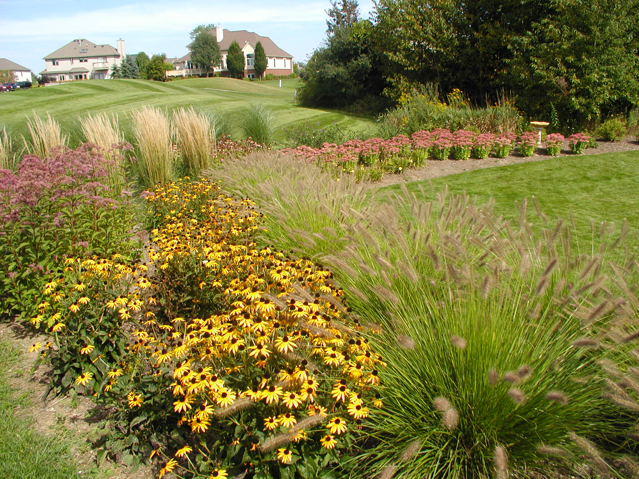 A landscaped garden features vibrant flowers and ornamental grasses, set against neatly manicured lawns and suburban houses in the background.