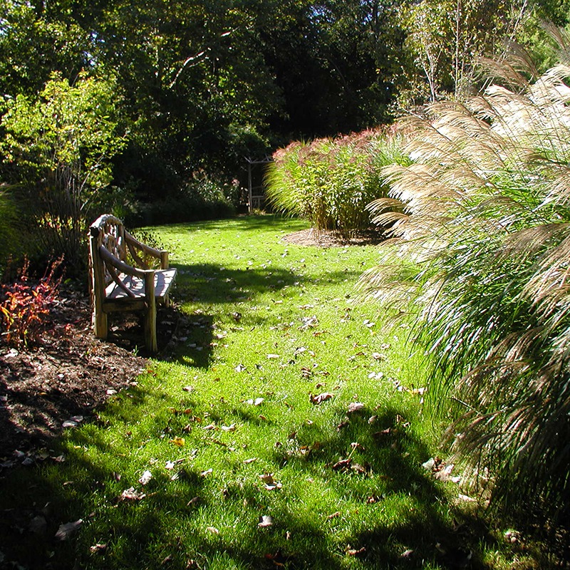 A serene garden scene with a wooden bench, lush green grass, and tall ornamental grasses under dappled sunlight and surrounding trees.