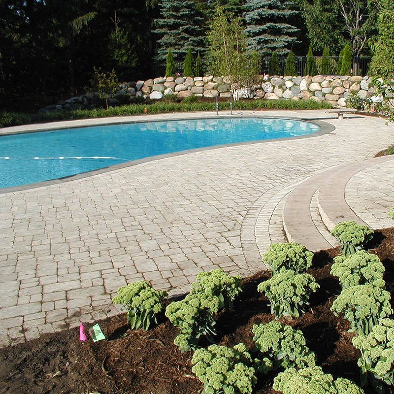 A serene outdoor scene features a curved swimming pool bordered by stone paving, lush greenery, and meticulously arranged plants under a clear sky.