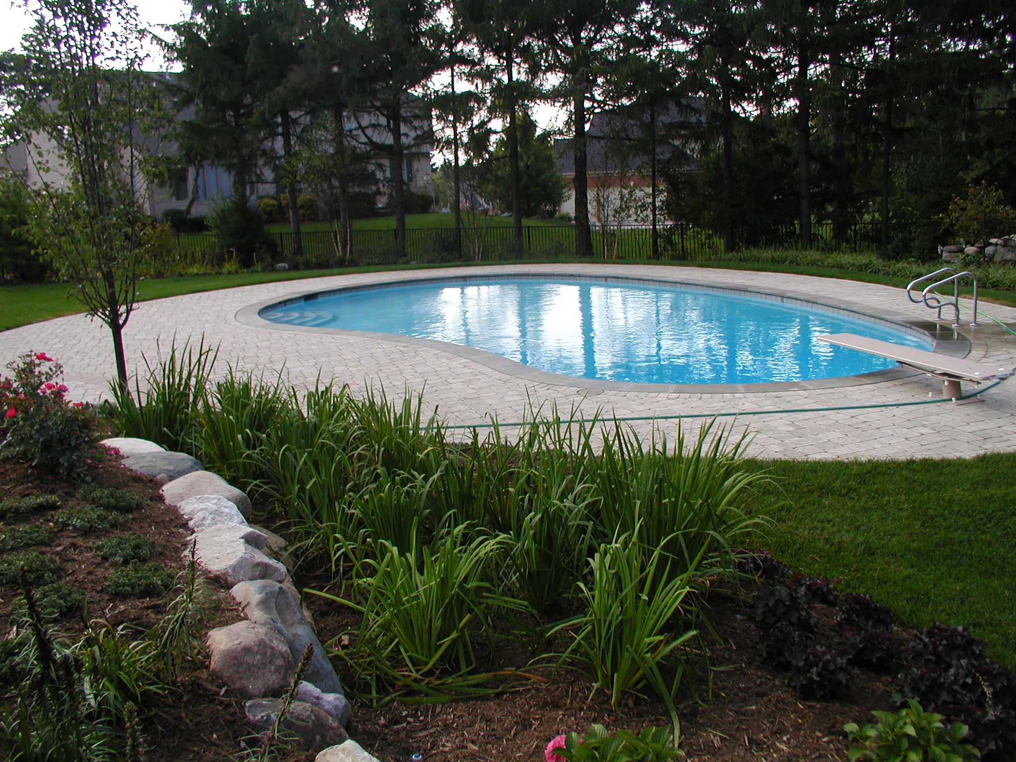 A serene backyard scene with an oval swimming pool, diving board, surrounding trees, and landscaped garden, featuring rocks and plants on a sunny day.