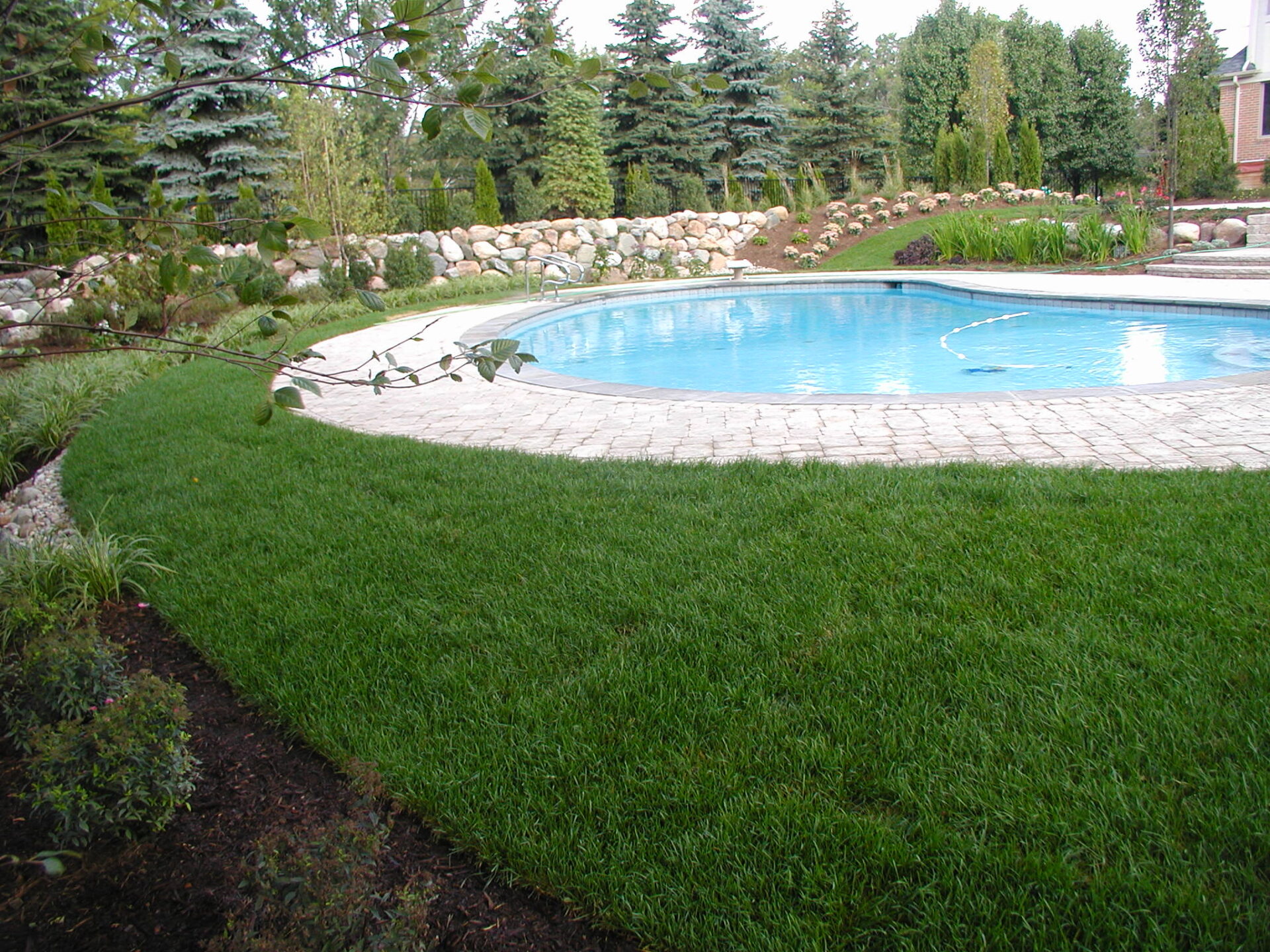 A serene backyard features a circular pool surrounded by lush grass, stone path, and neatly arranged shrubs under a clear sky.