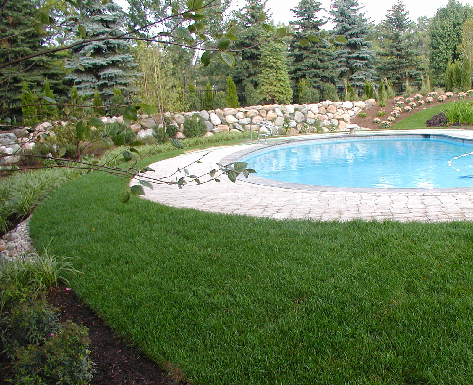 A serene backyard features a circular pool surrounded by green grass, landscaped with stones, trees, and bushes on a sunny day.