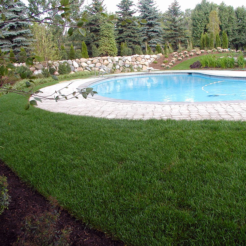 A circular swimming pool surrounded by lush green grass, stone patio, and a background of tall trees and shrubs.