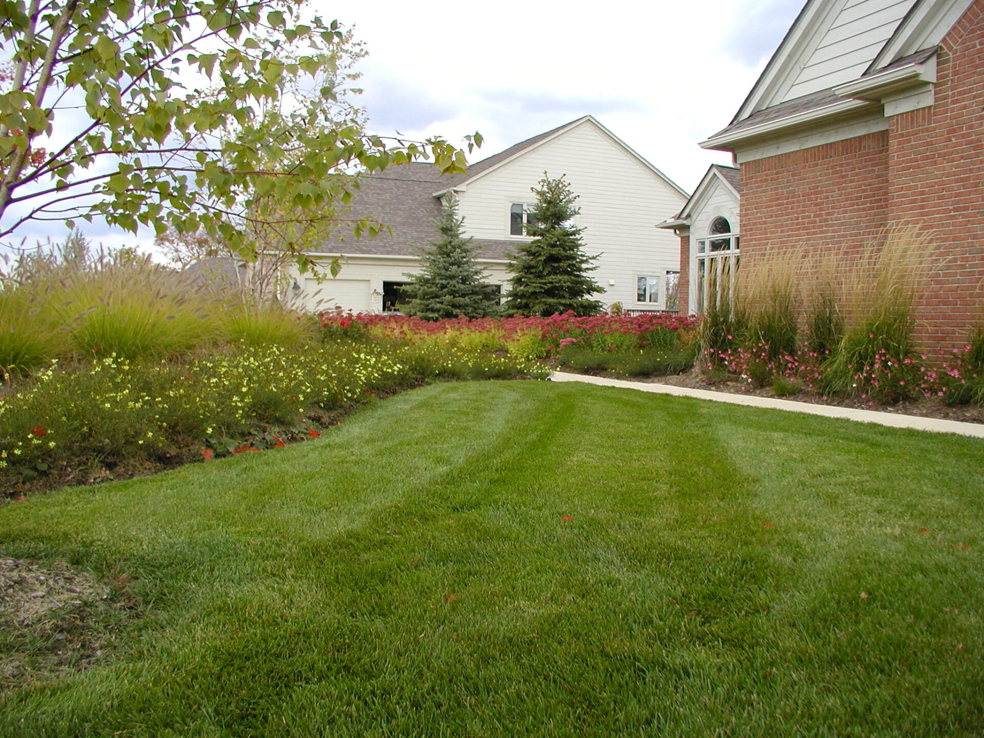 A neatly landscaped yard with vibrant flowers, lush grass, and brick and white houses under a cloudy sky, showcases suburban tranquility.