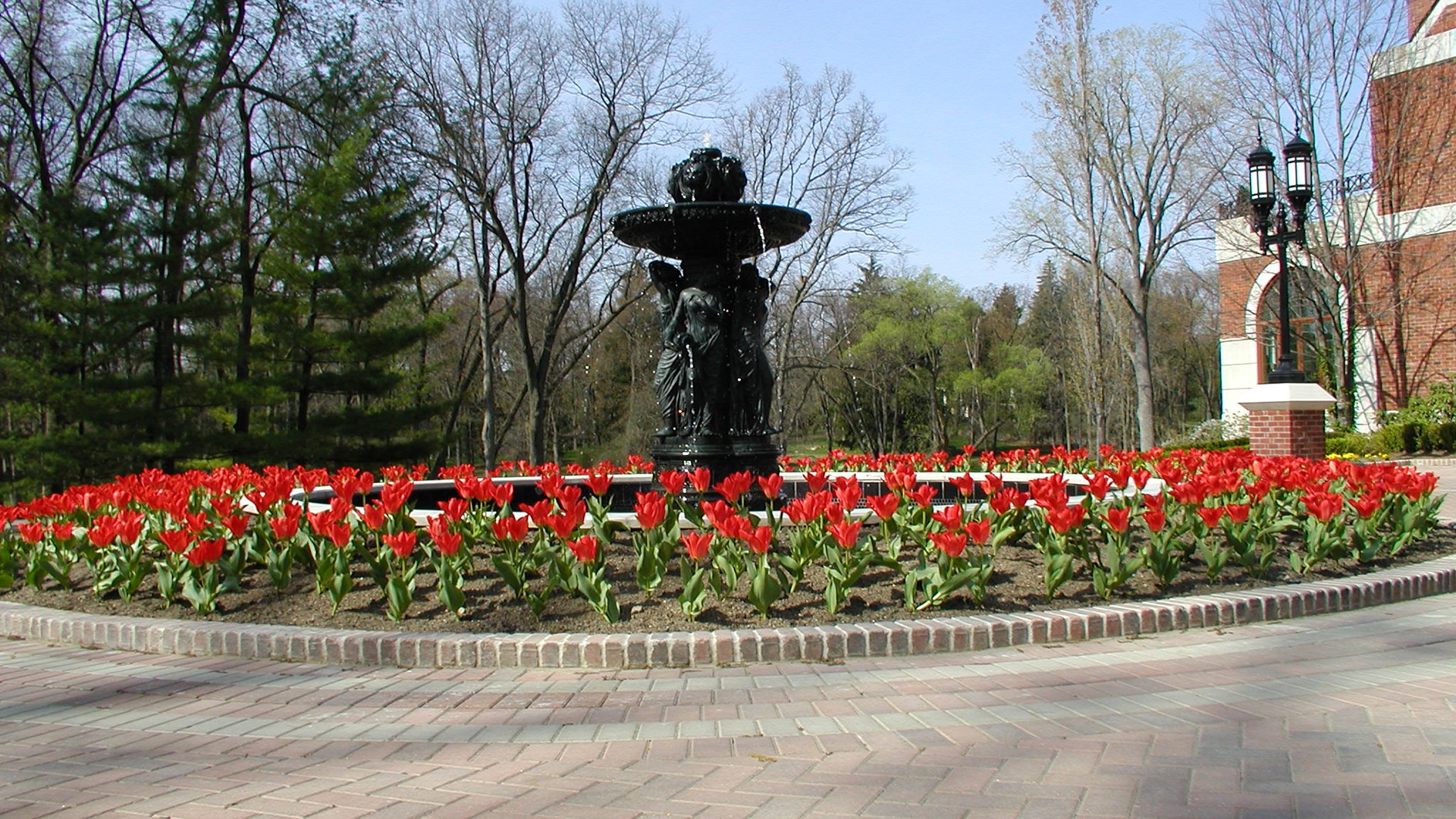 A garden with red tulips surrounds a black iron fountain. Brick building corner visible amidst trees, clear sky, and lamp posts.
