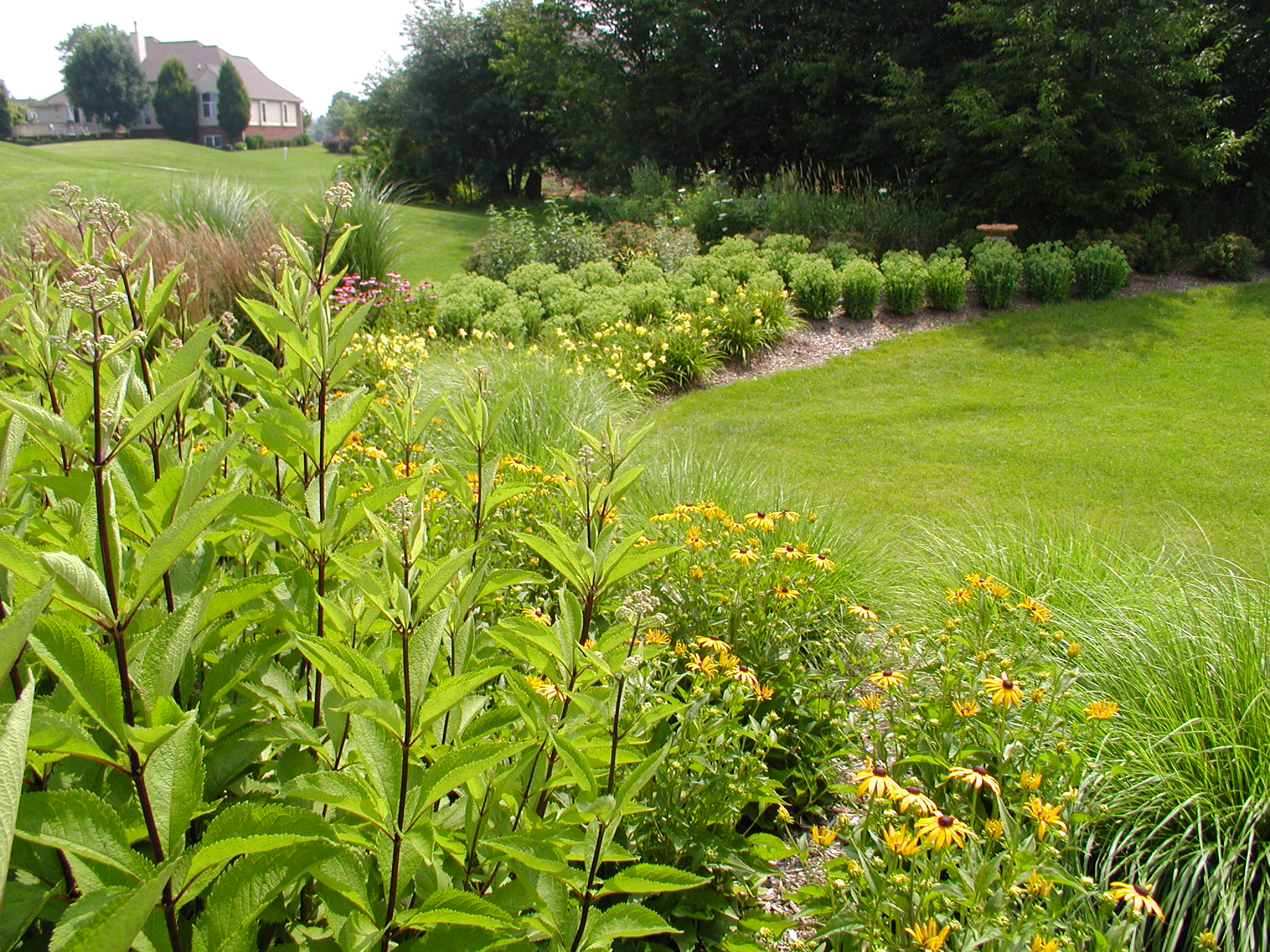 A lush garden with blooming flowers and greenery frames a large house under a clear sky, creating a serene, natural setting.