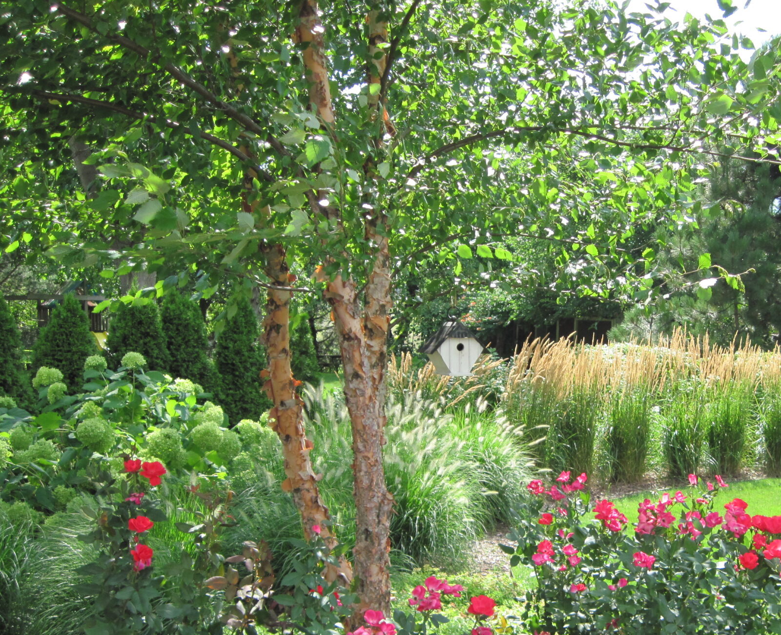 A lush garden with vibrant red flowers, green shrubs, tall grass, and a birdhouse surrounded by trees on a sunny day.
