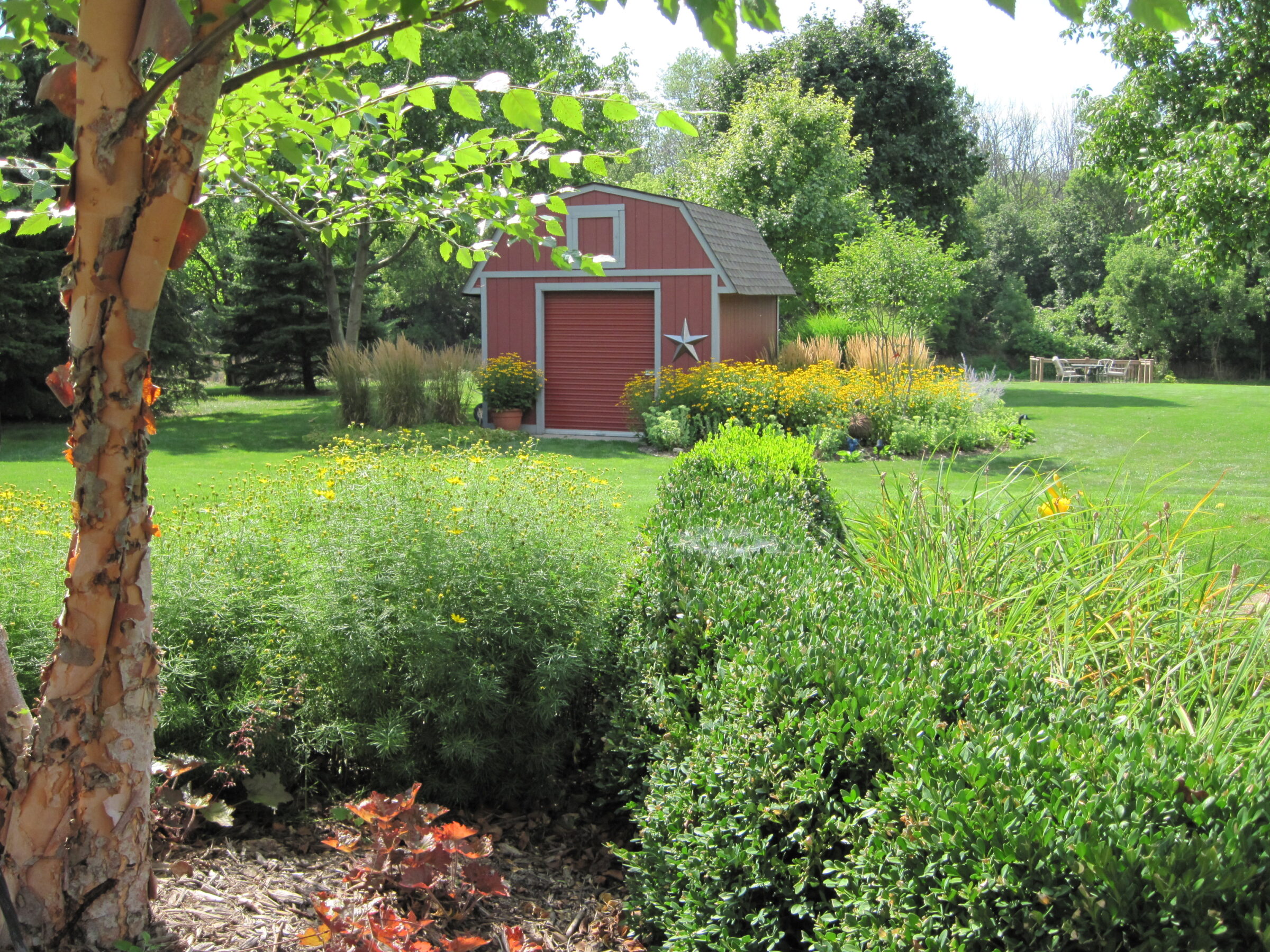 A red shed with a star sits amidst a lush, colorful garden surrounded by trees and bright flowers on a sunny day.
