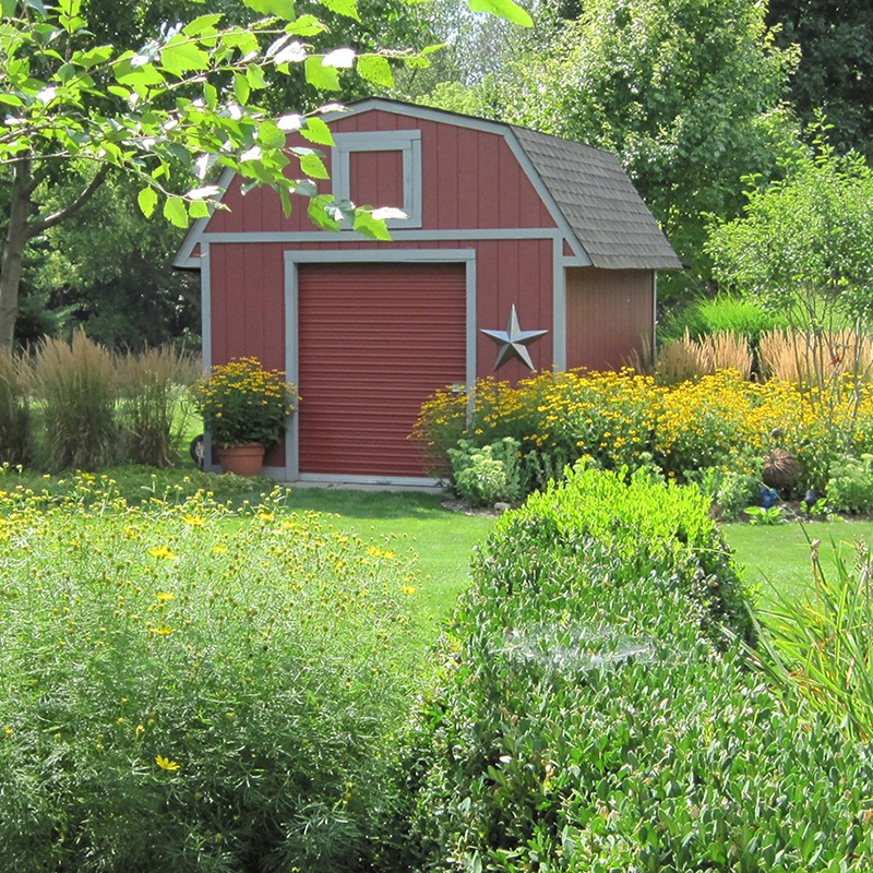 A small red shed with a star decor is surrounded by lush green plants and vibrant yellow flowers in a garden setting.