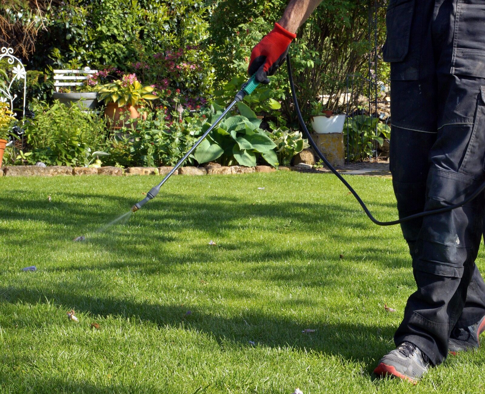 A person in red gloves sprays treatment on a lush green lawn with a backpack sprayer, surrounded by blooming garden plants.