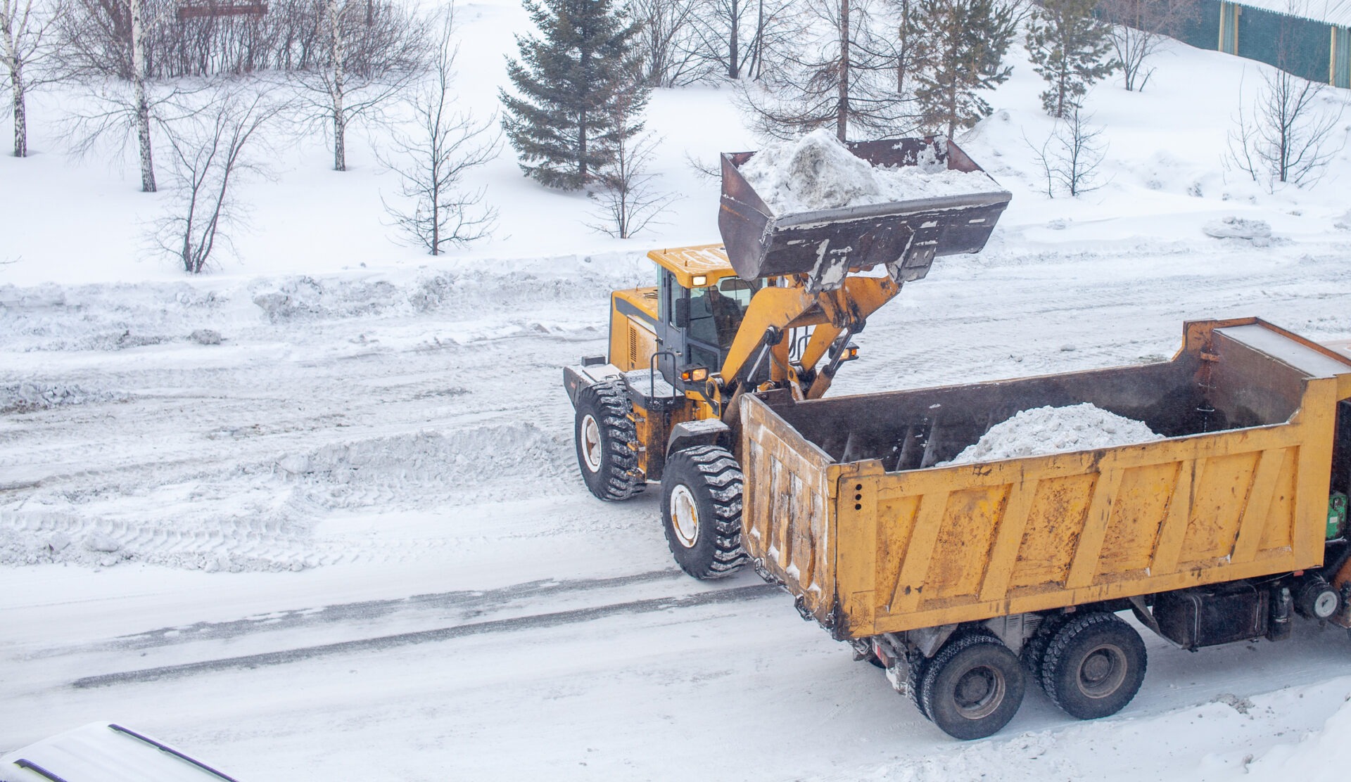 A snow-covered street shows a loader transferring snow into a dump truck amidst winter trees, under a wintry white landscape.