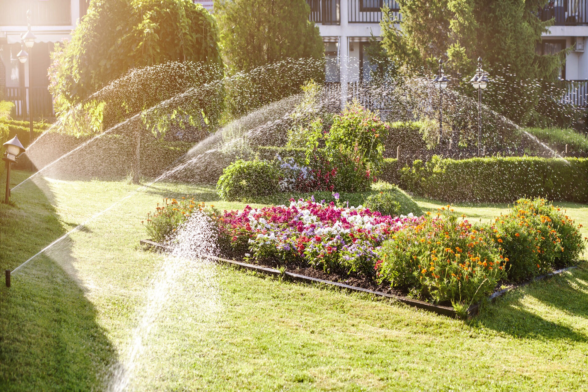 Sprinklers water a vibrant garden bed with colorful flowers, surrounded by lush green grass and trees in a sunny residential area.