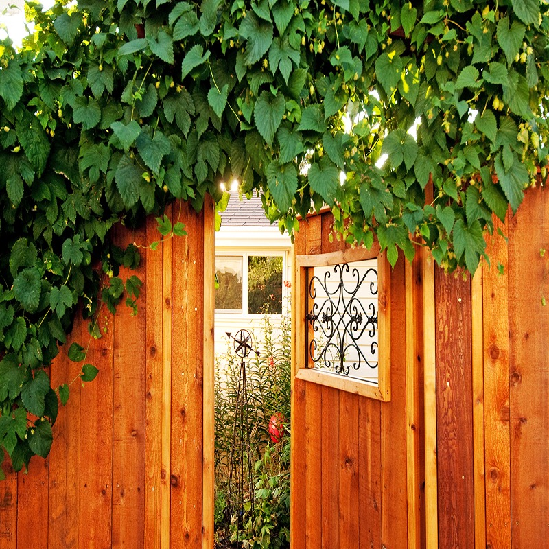 A wooden gate framed by lush green leaves opens to a garden with a house in the background. An ornate design decorates the gate.