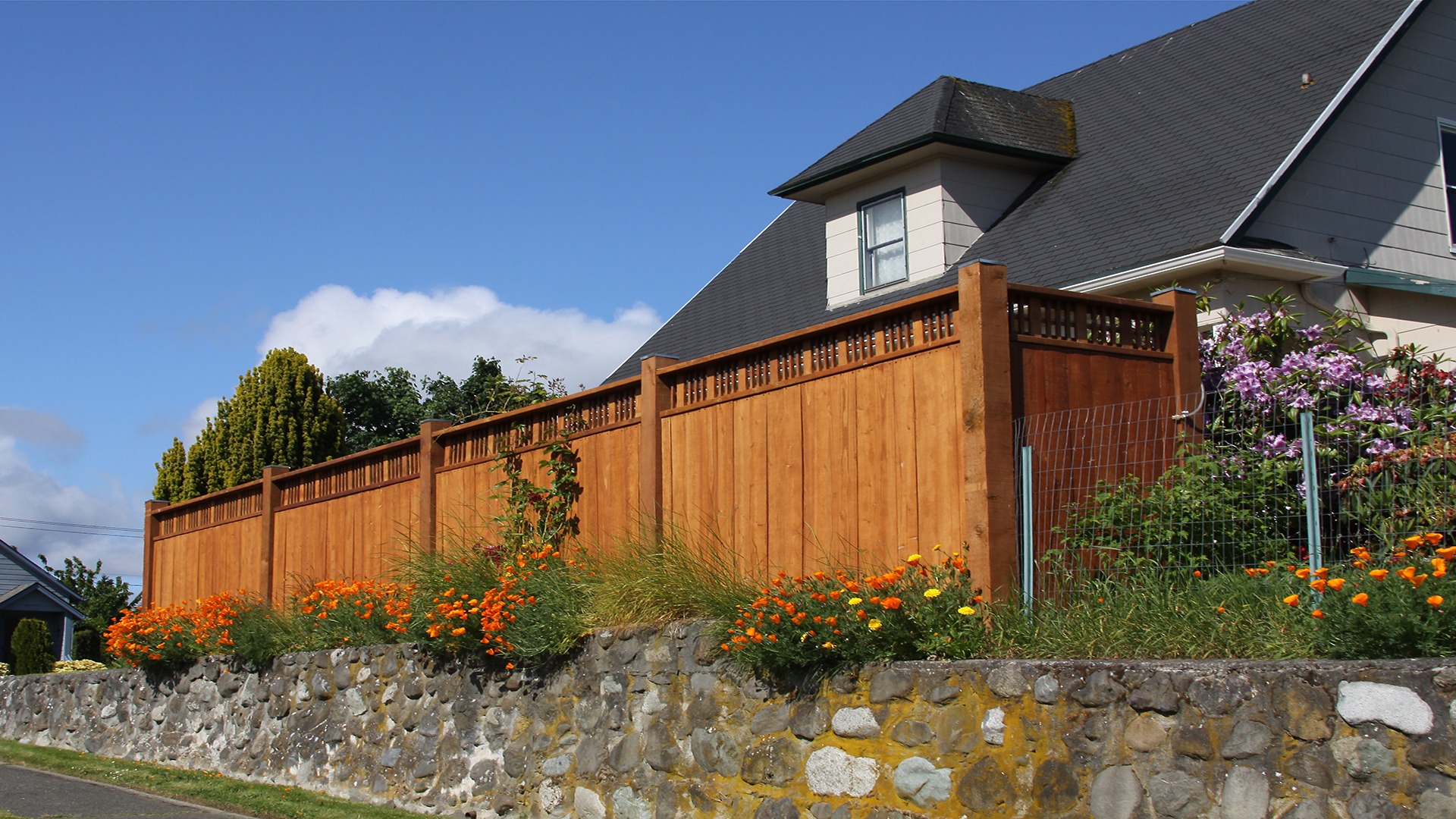 A house with a steep roof behind a tall wooden fence, vibrant orange flowers, and a stone wall beneath a clear blue sky.