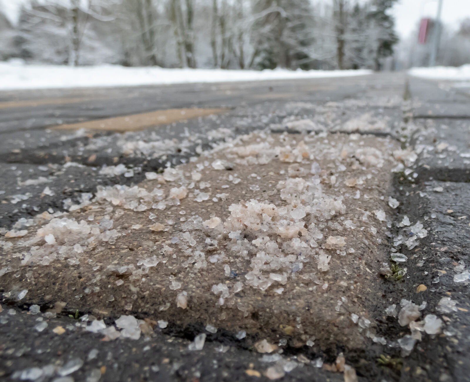 Close-up of a salt-covered, snowy sidewalk with trees in the background. Overcast weather suggests a cold, wintry day. No landmarks visible.