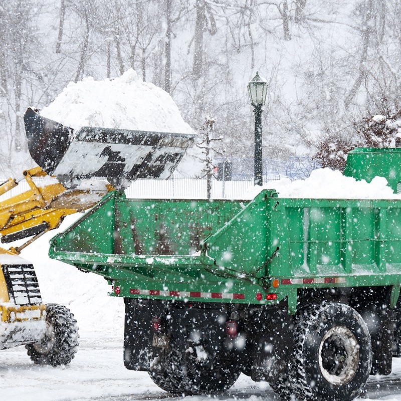 A snowy scene with a bulldozer and dump truck clearing snow. A vintage streetlamp stands in the background amidst trees.