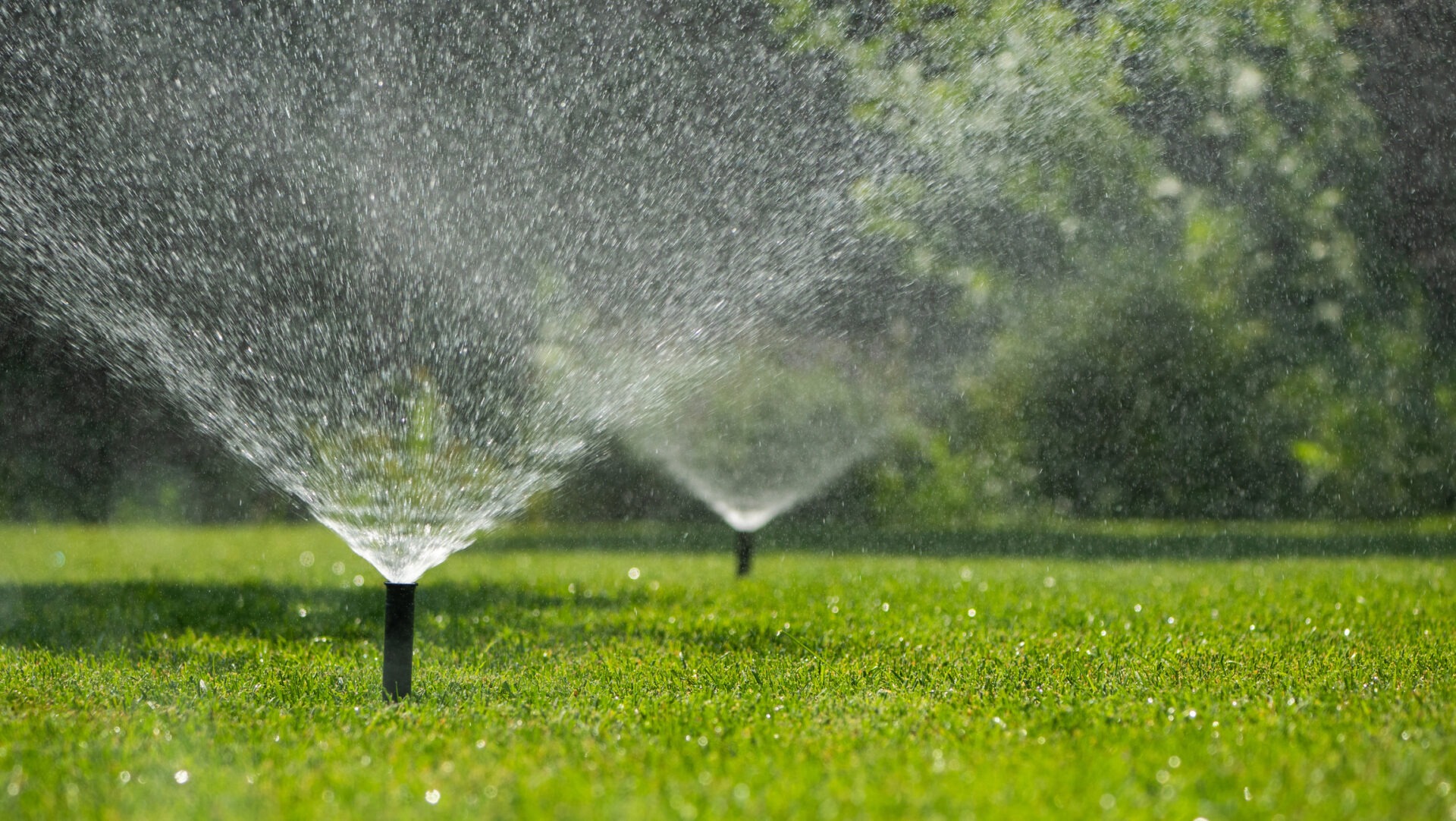 Sprinklers watering a lush green lawn, creating a misty spray under bright sunlight, with trees softly blurred in the background.
