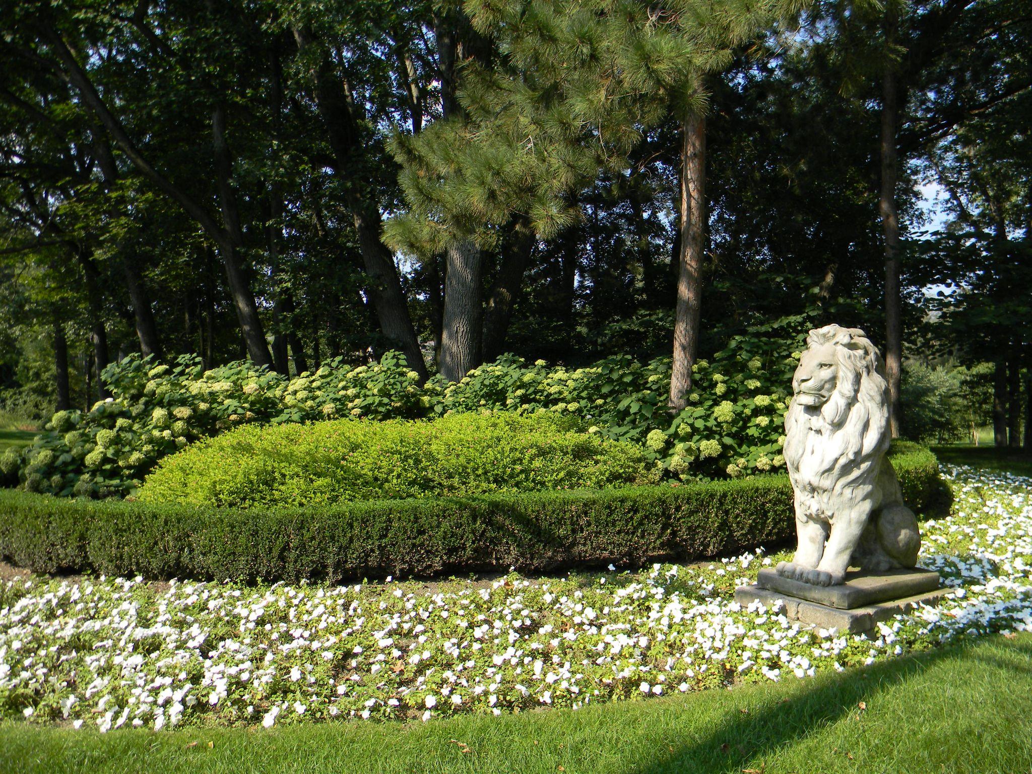 Formal garden with manicured hedges, white flowering ground cover, and a large stone lion statue under tall trees.