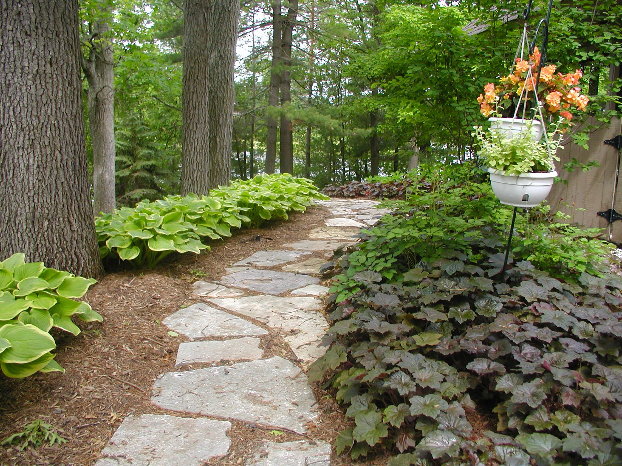 Stone path winding through a wooded garden, bordered by lush green hostas on one side and dark leafy plants on the other, with hanging flower pots adding color.